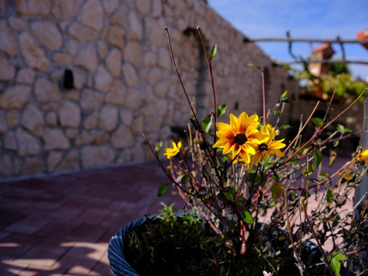 Secret Wellness Apartment Bodonci Екстериор снимка
